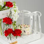 Romantic Harmony Set