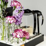 Majestic Violet Celebration