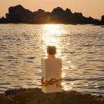 YSL Libre L'Eau Nue PDP